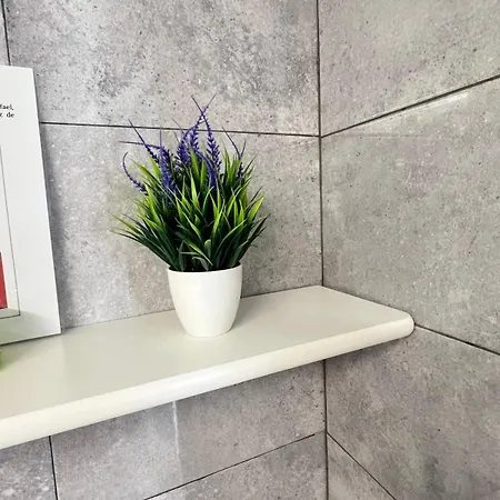 San Rafael * Playa de las Américas