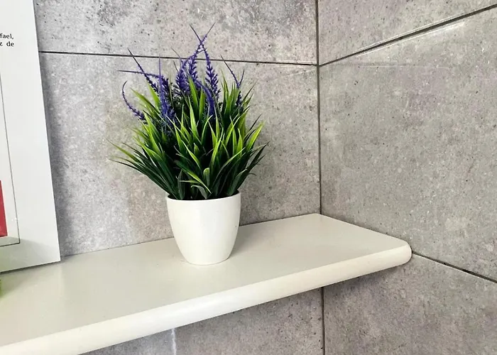 San Rafael * 美洲海滩